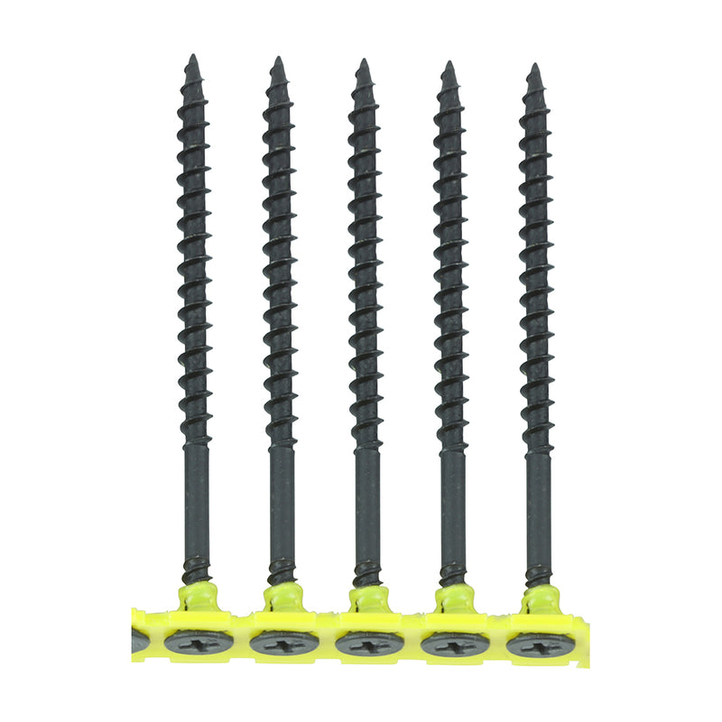 TIMCO Collated Drywall Coarse Thread Bugle Head Black Screws — Box