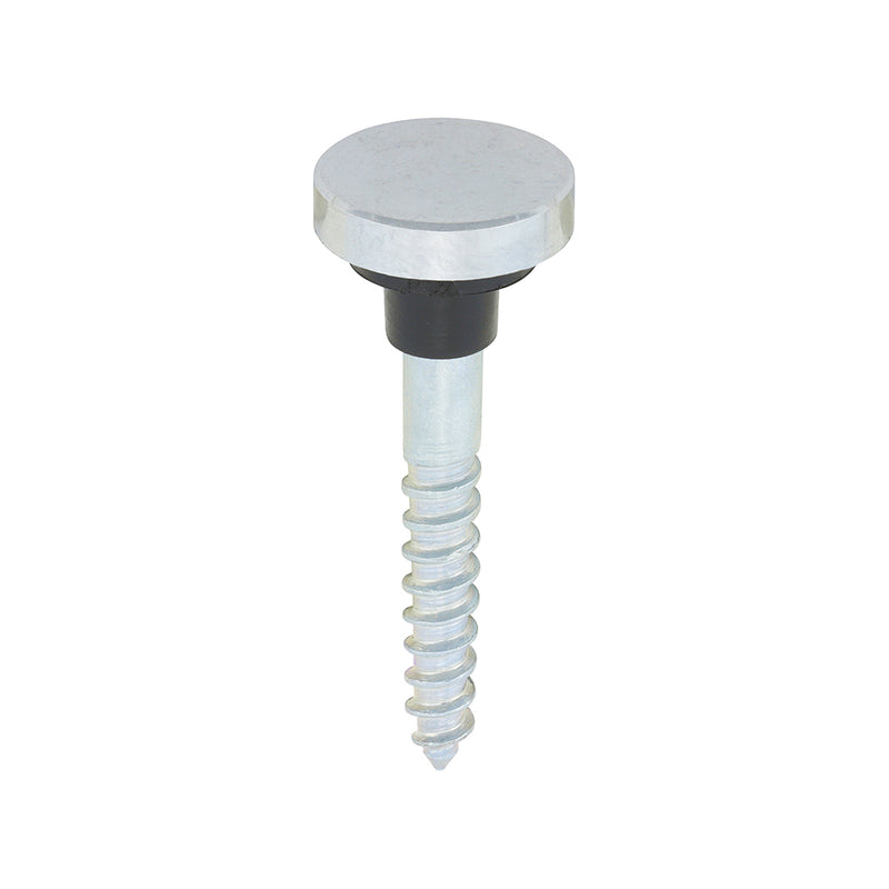 TIMCO Mirror Screws Dome Head Chrome