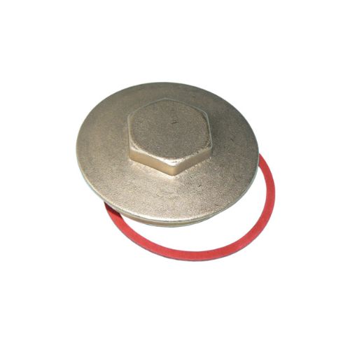 Brass immersion heater plug & washer 2.1/4"