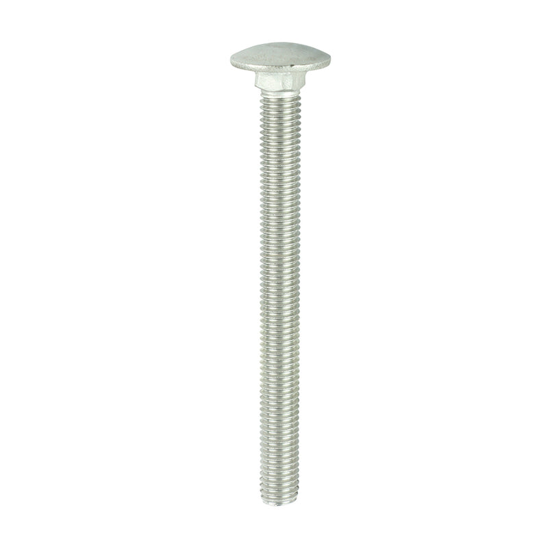 TIMCO Carriage Bolts DIN603 A2 Stainless Steel