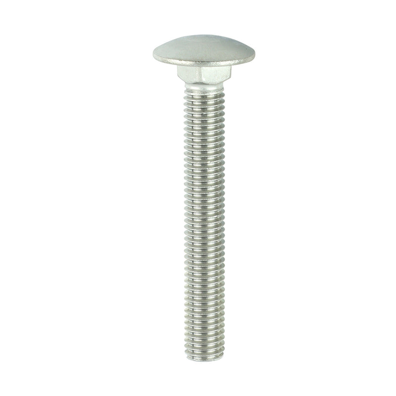 TIMCO Carriage Bolts DIN603 A2 Stainless Steel
