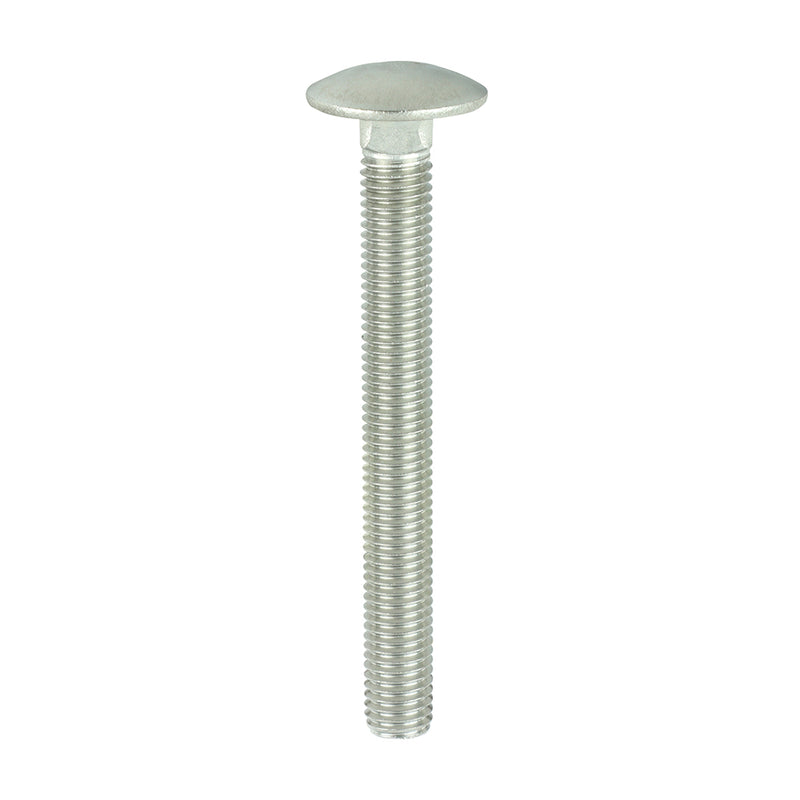 TIMCO Carriage Bolts DIN603 A2 Stainless Steel