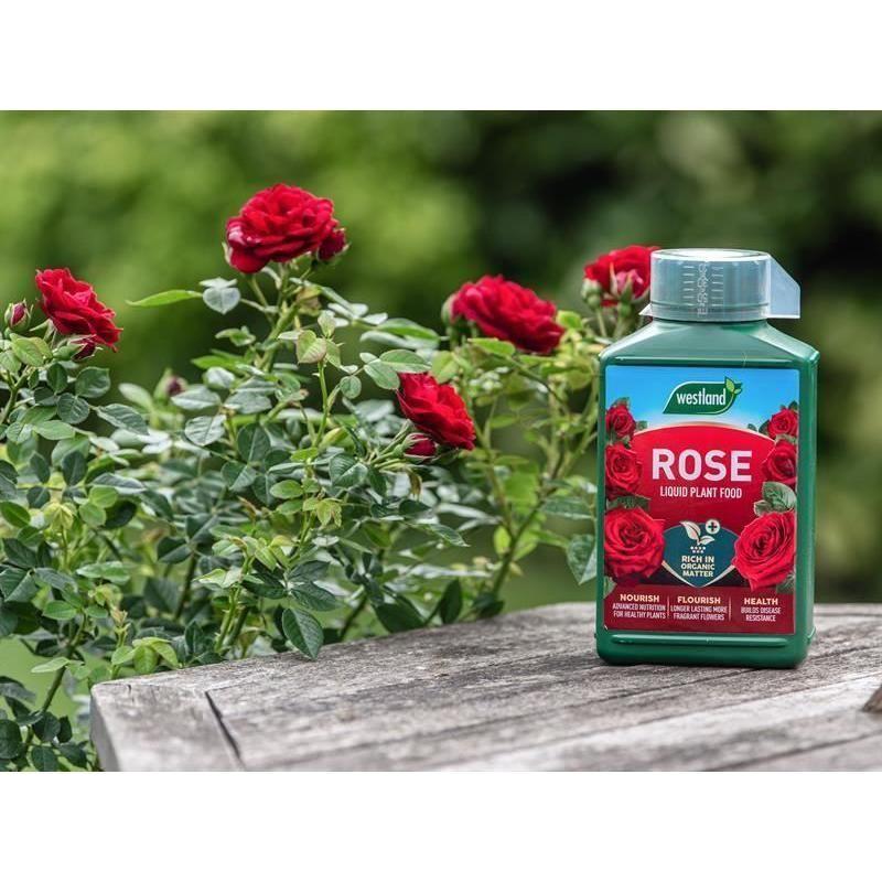 Westland Rose High Performance Liquid Plant Food 1 litre Westland - RockBottom Northampton