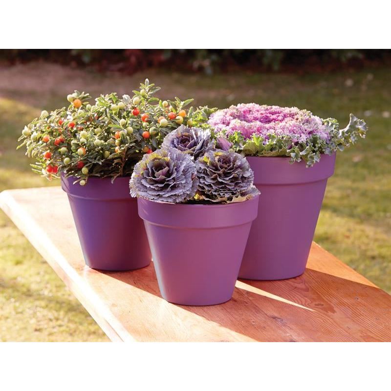 Ronseal Garden Paint Purple Berry 750ml Ronseal - RockBottom Nothampton