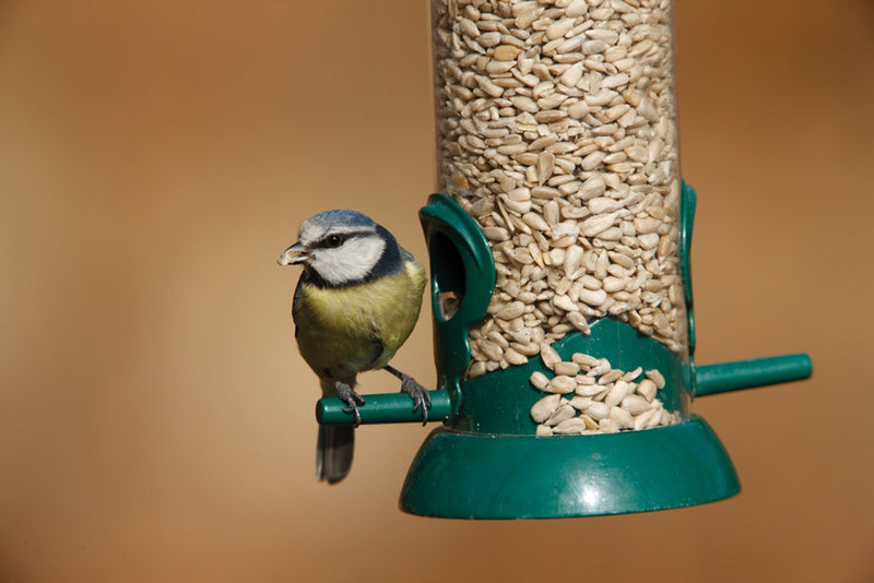 Rspb Sunflower Hearts 1.8kg