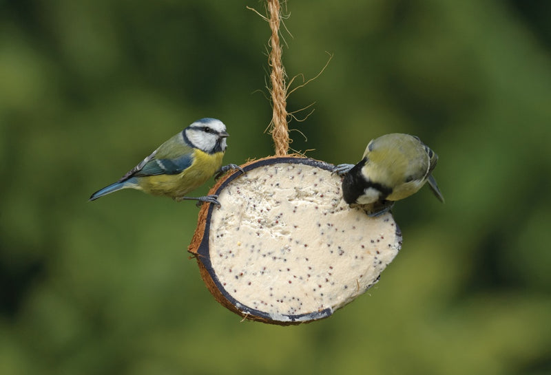 Rspb Coconut Treat 320g