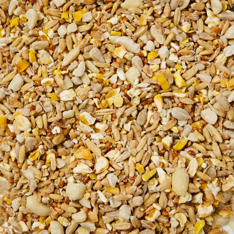 Ambassador No Mess Hi Energy Seed 1.5kg