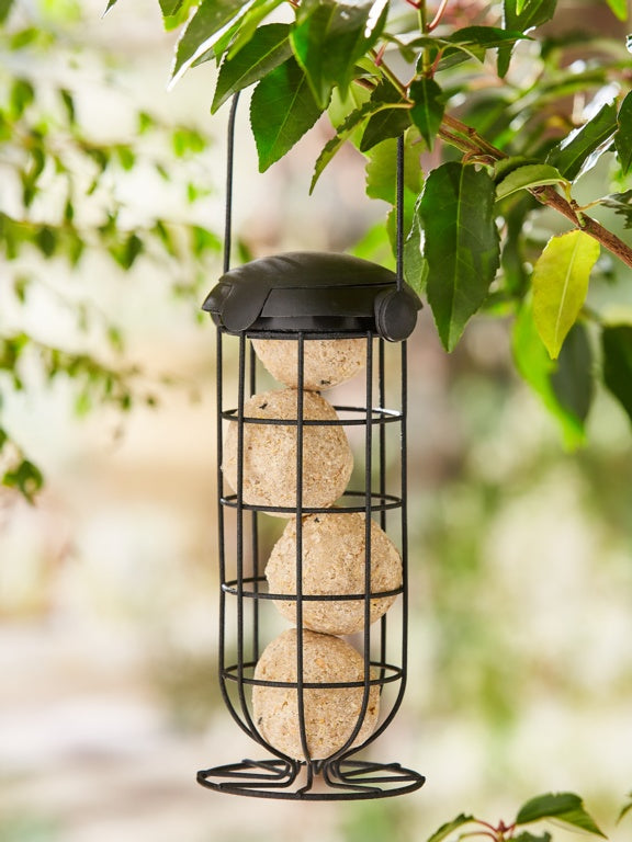 Ambassador Black Flip Top Fatball Feeder