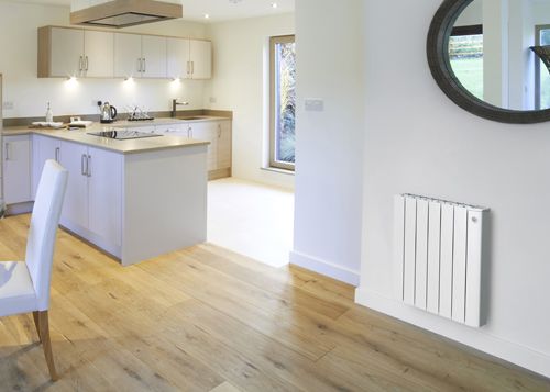 Neomitis Electric Radiator 1000w Calianthys Ecosens