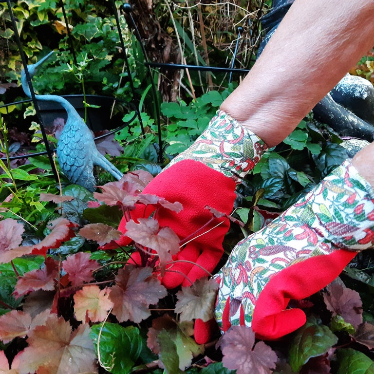 Town & Country Ladies Chilli Gloves Triple Pack