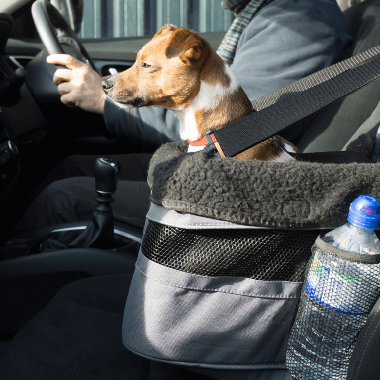 Henry Wag Car Booster Seat 38cm x 38cm x 25cm