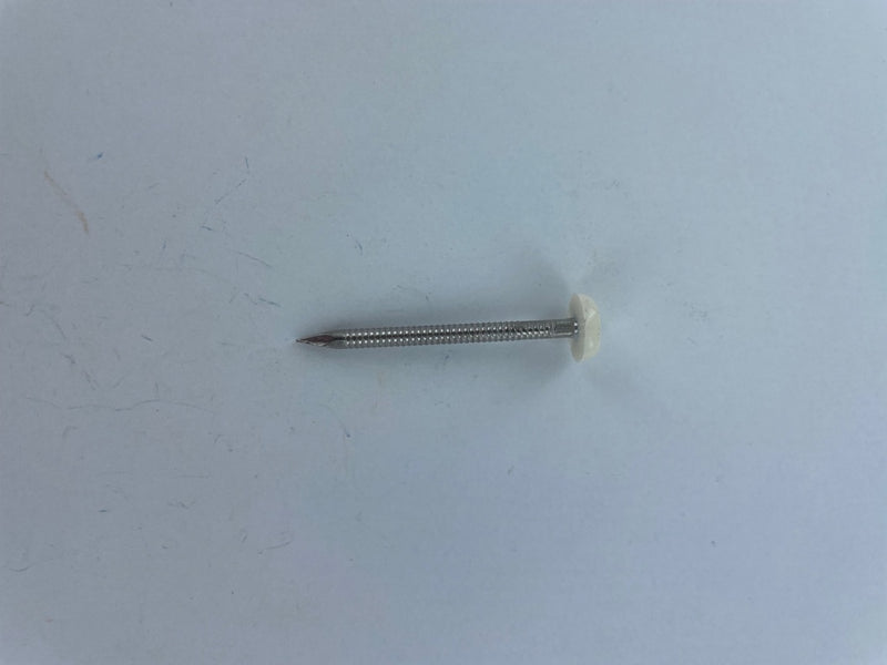 Securfix Stainless Steel Plastic Headed Nail White 50mm 50 Pack