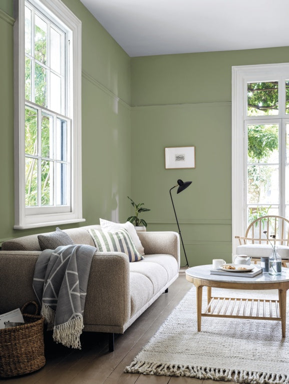 Crown Walls & Ceilings Matt 2.5L Evergreen Echo