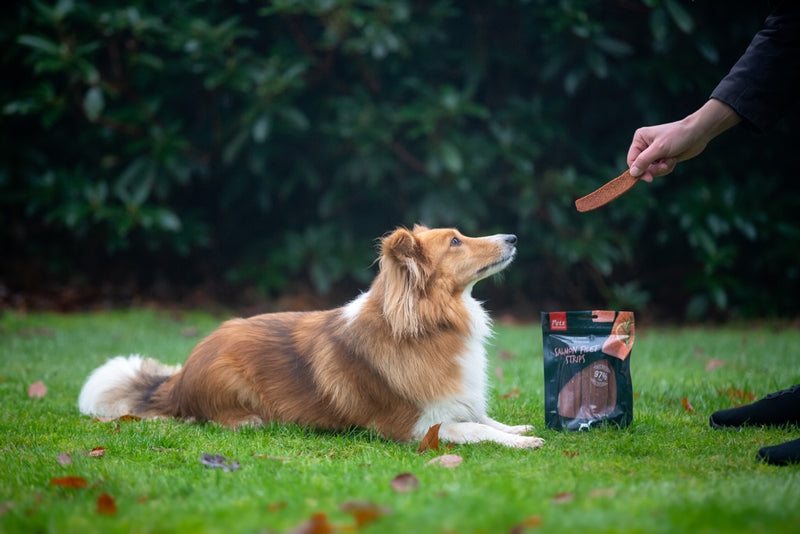 ROSEWOOD Salmon Fillet Strips Dog Treats Large