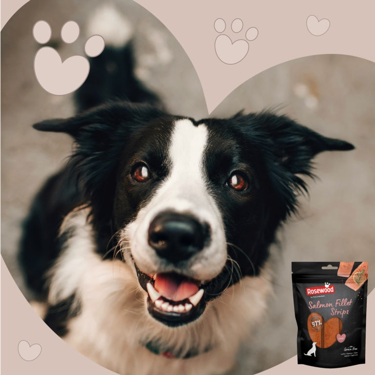 ROSEWOOD Salmon Fillet Strips Dog Treats Large