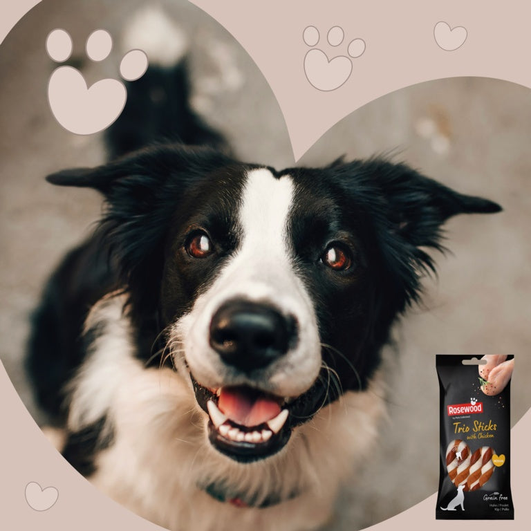 ROSEWOOD Trio Stick With Chicken Dog Treats Medium
