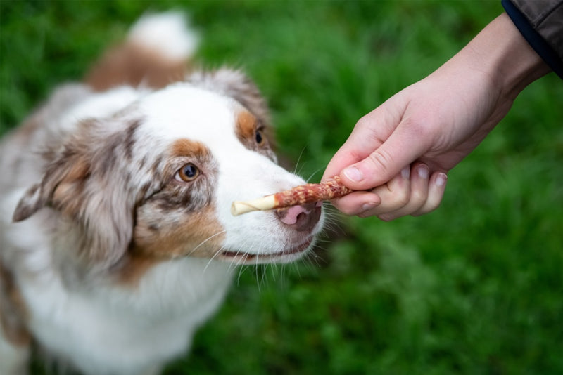 ROSEWOOD Chewy Sticks With Beef Dog Treats 8 Pieces