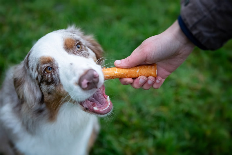 ROSEWOOD Chewy Sticks With Chicken 4 Piece Medium