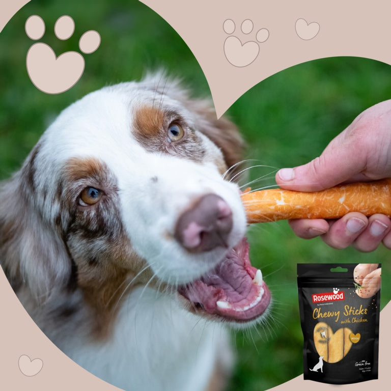 ROSEWOOD Chewy Sticks With Chicken 4 Piece Medium