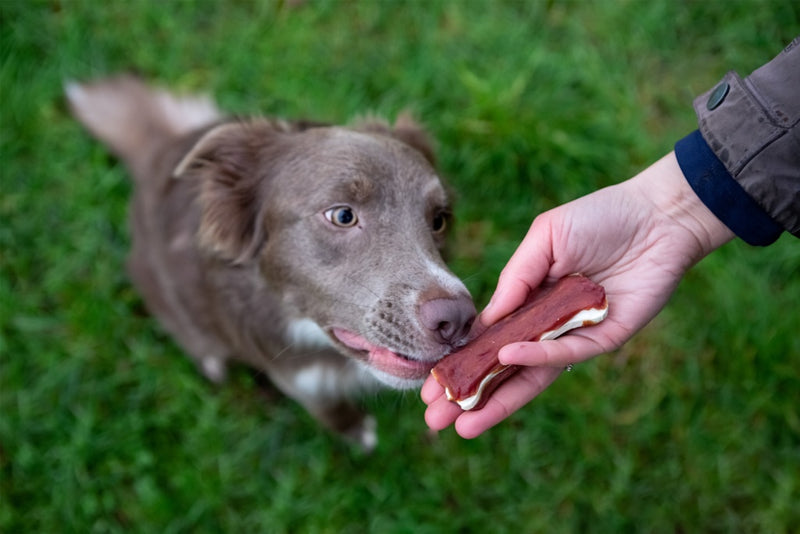ROSEWOOD Chewy Bones With Duck Medium