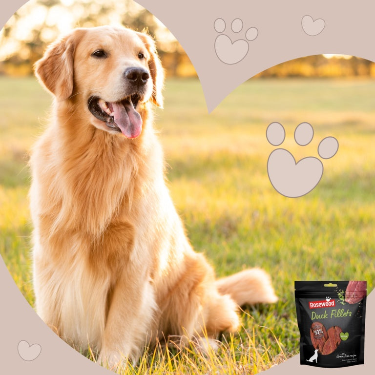 ROSEWOOD Duck Fillets Dog Treats Medium