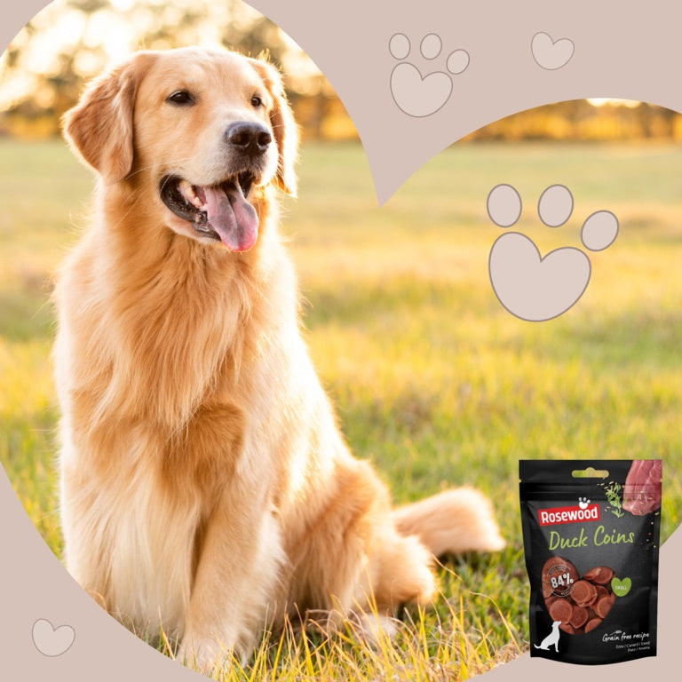 ROSEWOOD Duck Coins Dog Treats 100g