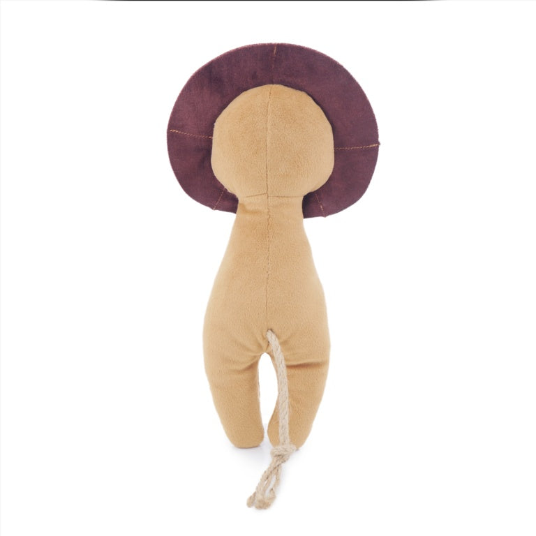 ROSEWOOD Eco Friendly Lion Dog Toy