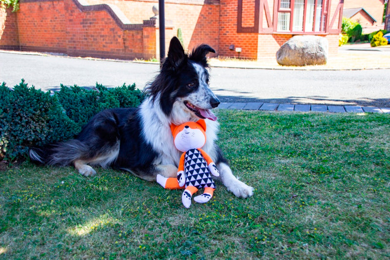 ROSEWOOD Mr Fox Dog Toy