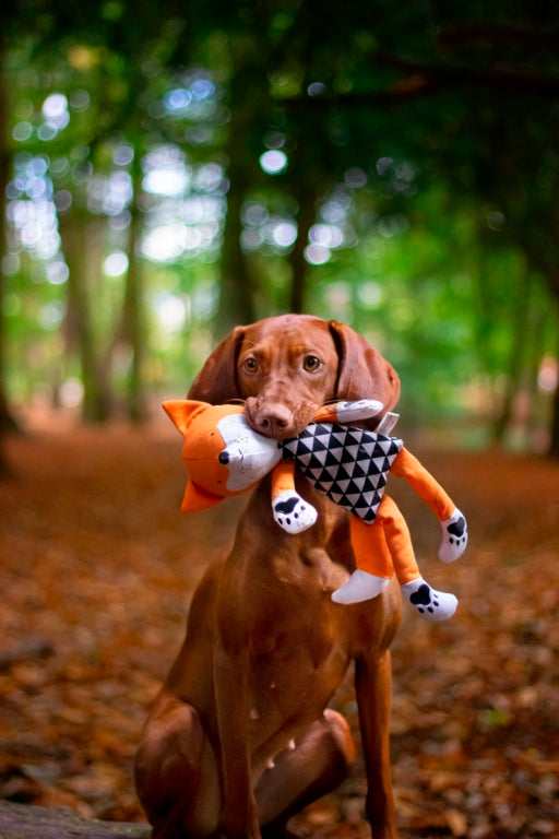 ROSEWOOD Mr Fox Dog Toy