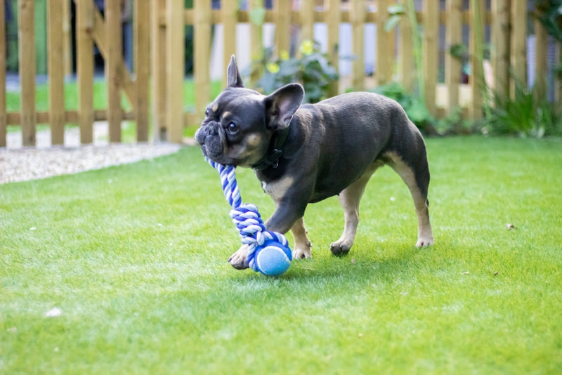ROSEWOOD Twistable Tennis Ball Dog Tug