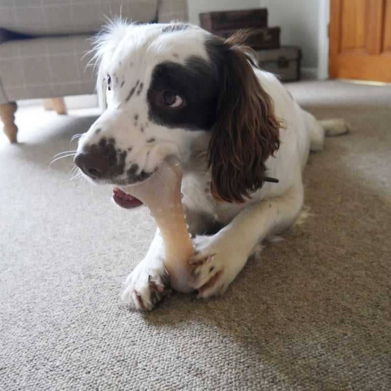 ROSEWOOD Tough Wood Bone Dog Toy