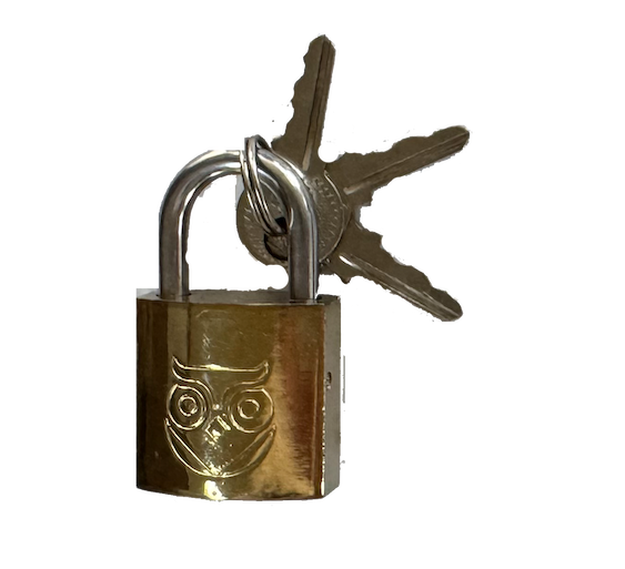 Owler & Banks Brass Coated Padlock 25mm