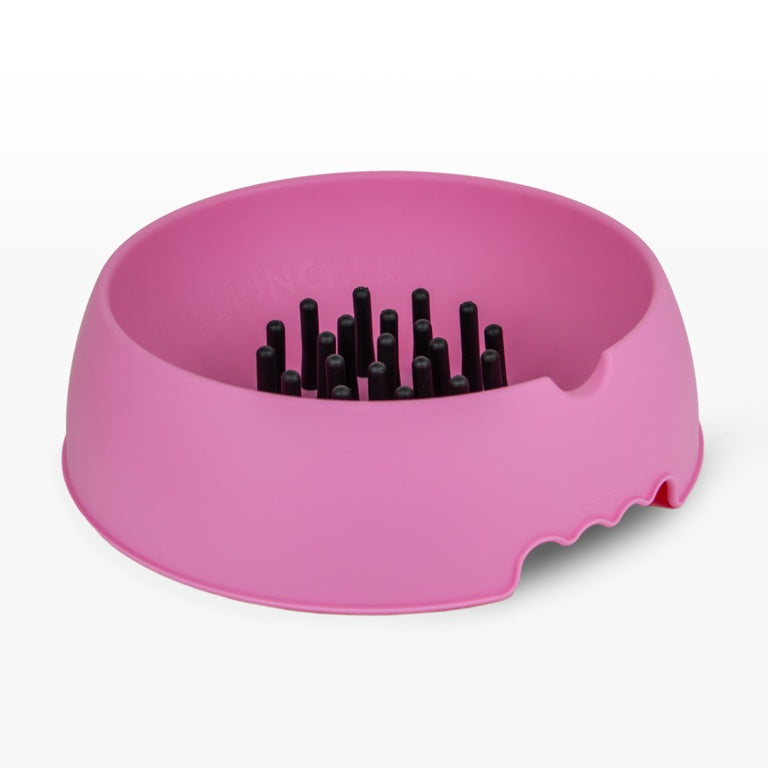 Slow Muncher Small Dog Bowl Pink External: 210mm Internal: 160mm