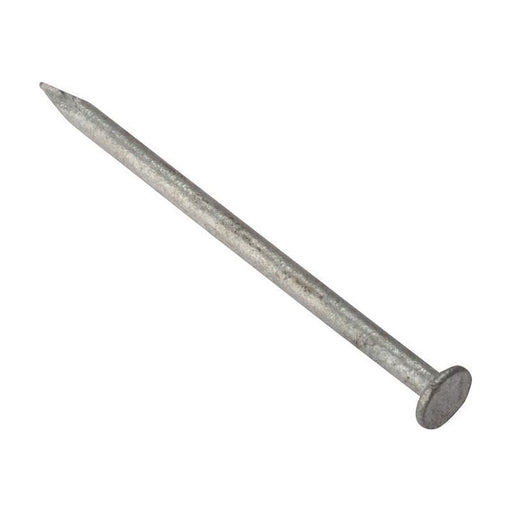 Forgefix Round Head Nail Galvanised 100mm Bag of 500g ForgeFix - RockBottom Northampton