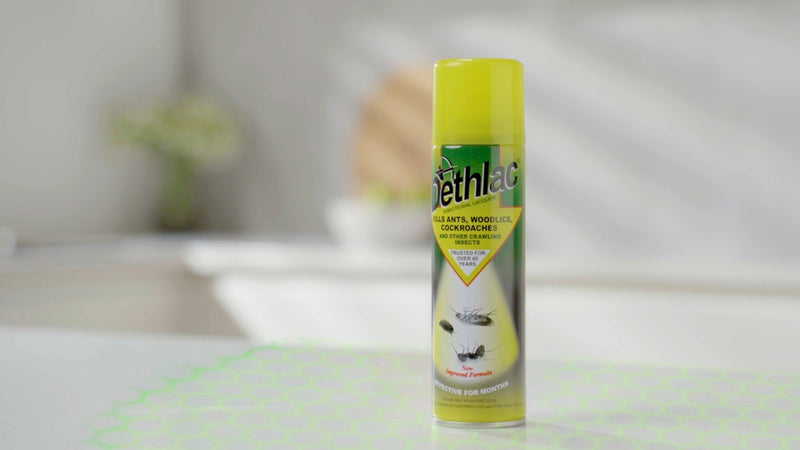 Dethlac Insecticidal Lacquer 250ml Aerosol