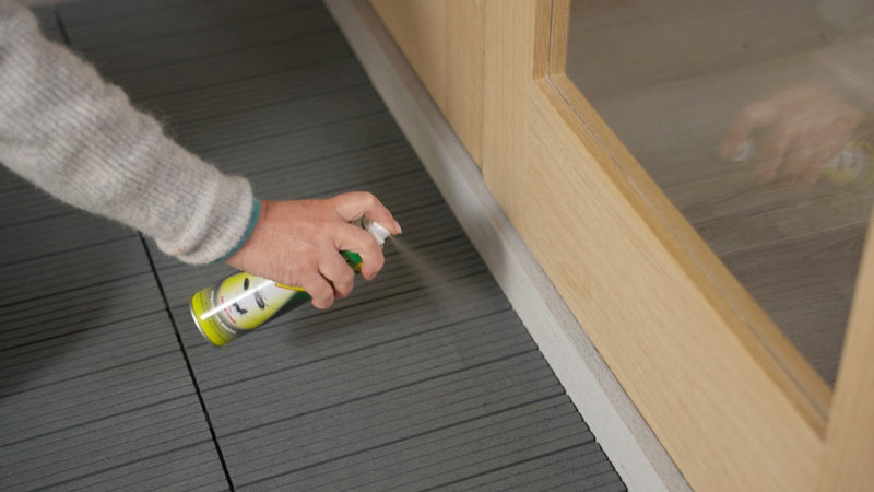 Dethlac Insecticidal Lacquer 250ml Aerosol