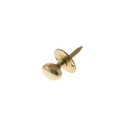 Polished Brass