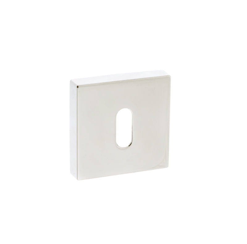 Polished Nickel
