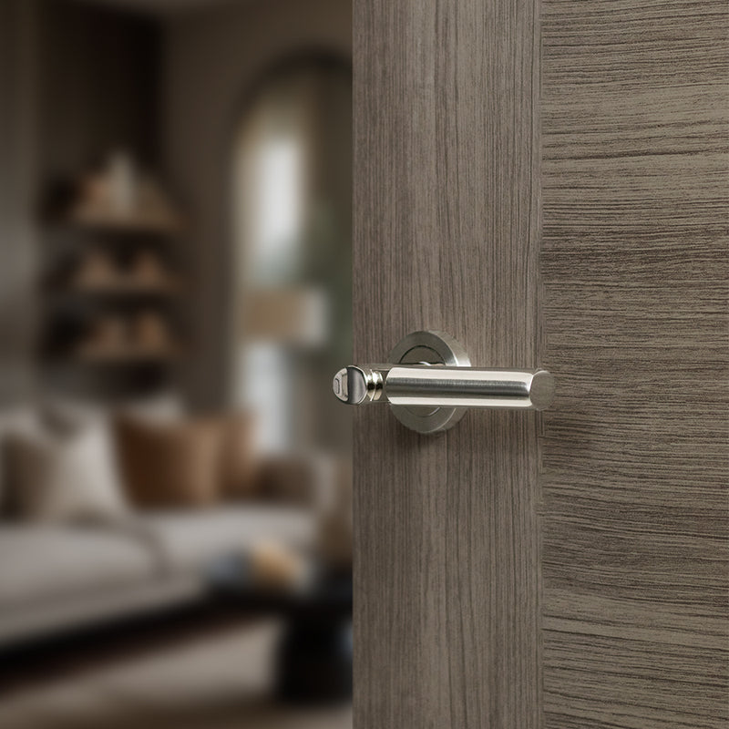 Mediterranean Palermo Lever Door Handle on Round Rose - Satin Nickel/Polished Nickel