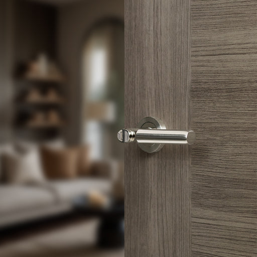 Mediterranean Palermo Lever Door Handle on Round Rose - Satin Nickel/Polished Nickel