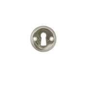 Polished Nickel
