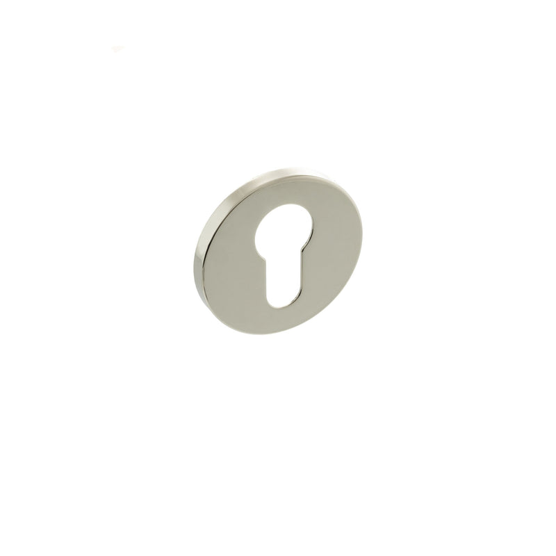 Polished Nickel