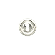 Polished Nickel