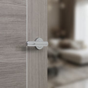 Polished Chrome