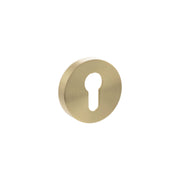 Satin Brass