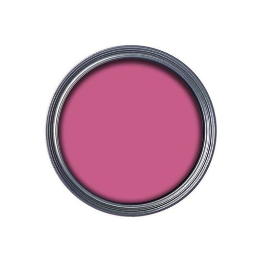 Ronseal Garden Paint Pink Jasmine 250ml Ronseal - RockBottom Nothampton