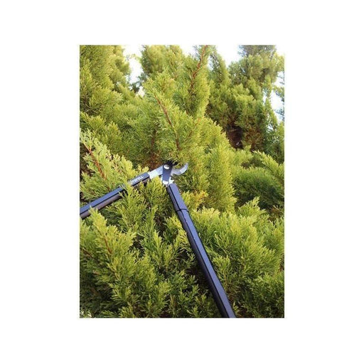 Faithfull Countryman Geared Bypass Lopper 600mm (24in) Faithfull - RockBottom Northampton