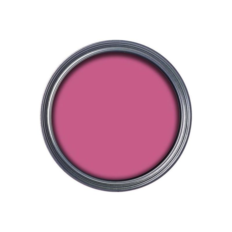Ronseal Garden Paint Pink Jasmine 2.5 litre Ronseal - RockBottom Nothampton