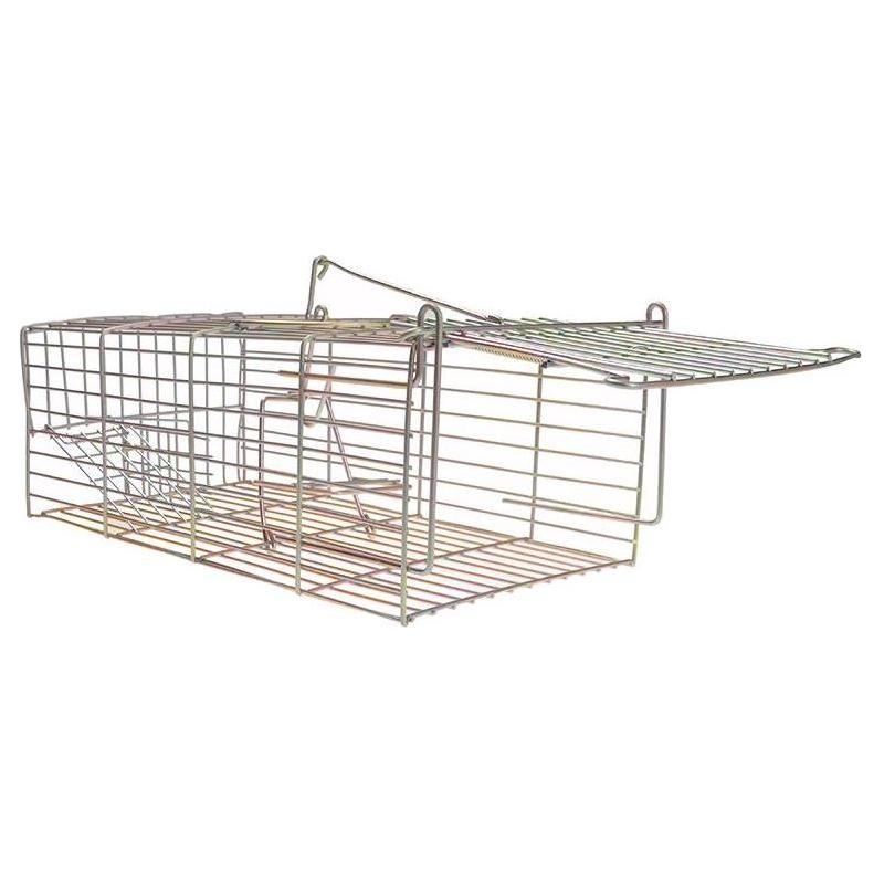 Cage Traps