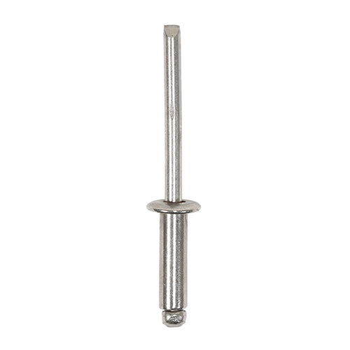 TIMCO Rivets Dome Head A2 Stainless Steel — Box